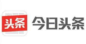 今日头条实习,探索新媒体领域的实践之旅