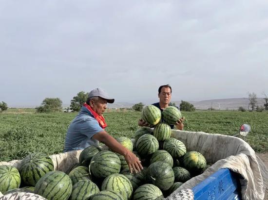 株洲李哥吃瓜