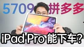 网红辉导,揭秘网络红人背后的故事