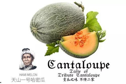 51吃瓜的推荐理由,揭秘热门话题背后的真相与趣味