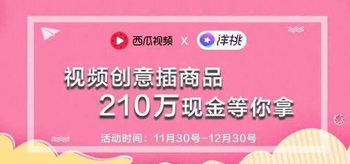 头条号美食视频分类标准,头条号美食视频分类标准深度解析
