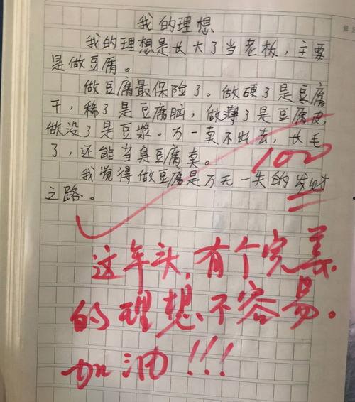 网红之所以红的原因作文,魅力与策略并重