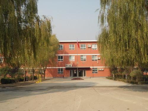 大连崔寨镇新闻头条,聚焦乡村振兴新篇章