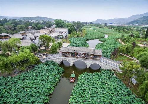 太和县仙都镇新闻头条,聚焦乡村振兴，共绘美好家园新画卷