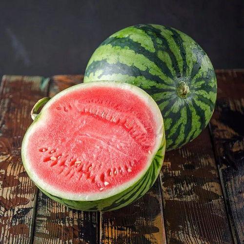 快速吃麒麟瓜视频