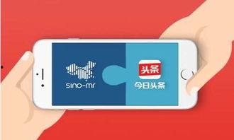 头条问答怎么设置专栏,轻松创建个性化副标题】