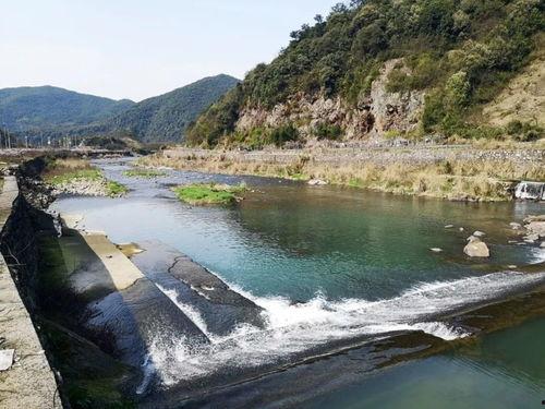 上虞网红钓鱼打卡地,静享渔乐，打卡自然之美