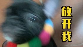 网红小项圈,引领潮流的时尚新宠