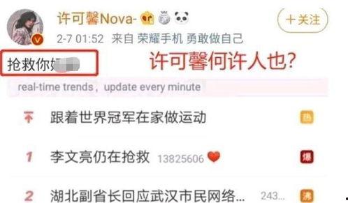 许某馨新闻头条,揭开校园霸凌背后的黑暗面