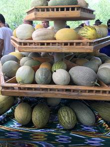 做什么工作可以吃瓜,揭秘瓜农的日常与收获