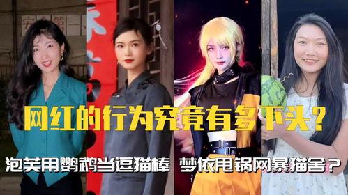 网红的下头行为,揭秘网络红人的不为人知一面