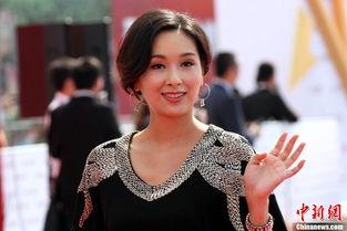 影视明星鲁园,影视界的璀璨星辰