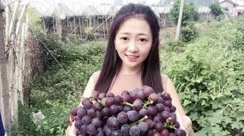 三斤 网红主播,揭秘直播界的璀璨新星！”