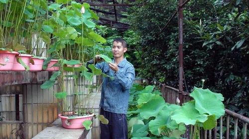 pc老师瓜,揭秘网络红人的幕后故事