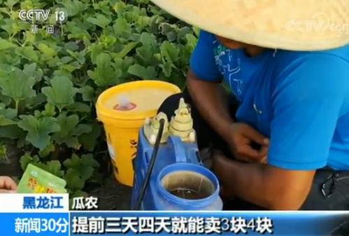 嘎嘎吃瓜记,揭秘娱乐圈幕后故事