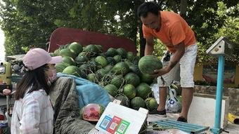山东济宁吃瓜视频,一网打尽当地特色美食瞬间