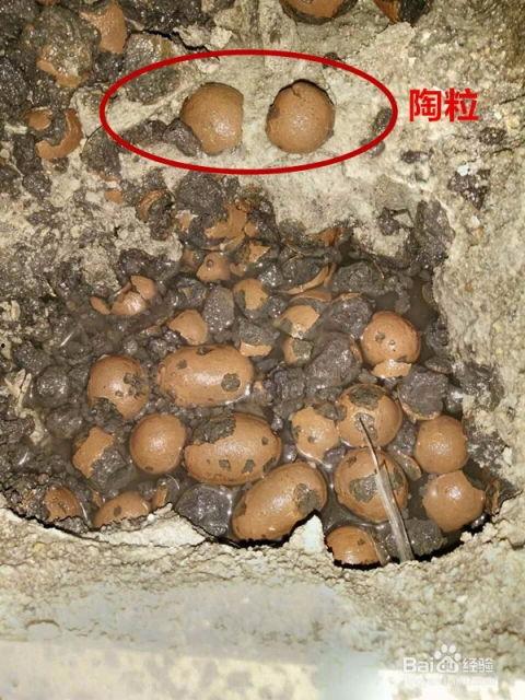 今日头条装修房子违规,警惕这些违规操作，守护你的家居安全与品质