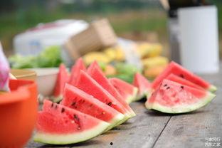 桂林钢镚吃瓜,揭秘吃瓜群众的趣味生活