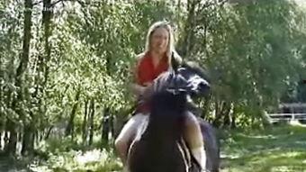 明星骑小马,小马骑行下的星光熠熠